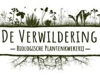 logo verwildering